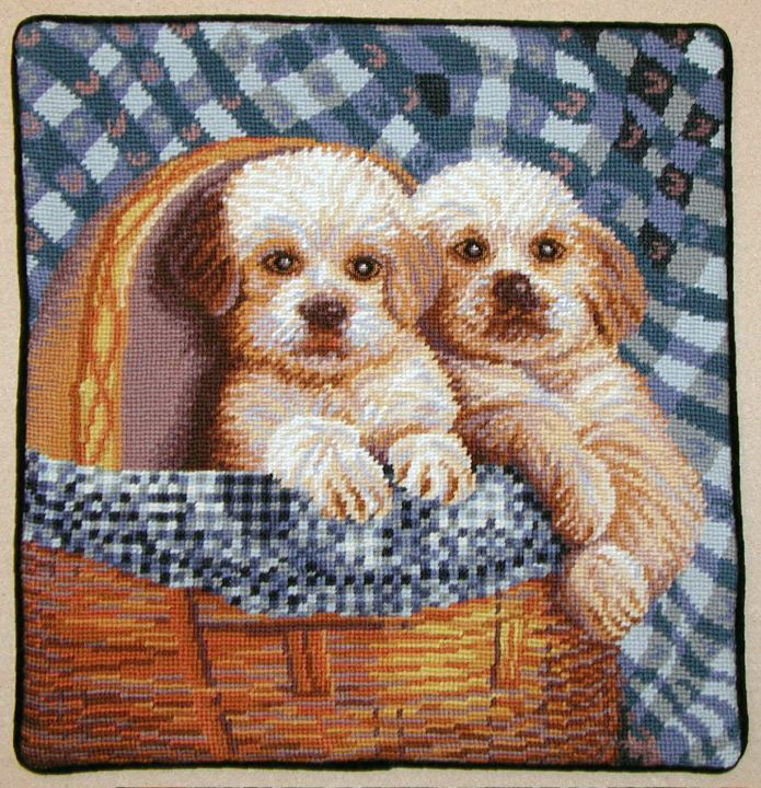 Dogs in Basket